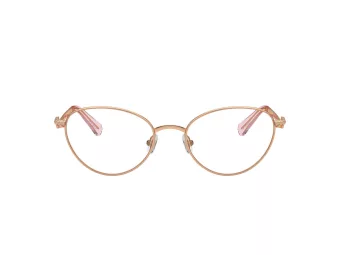 Swarovski Naočale SK 1002 4014