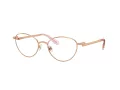 Swarovski Naočale SK 1002 4014