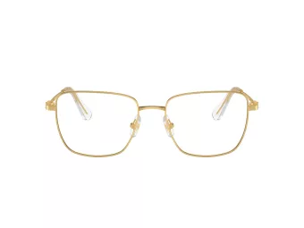 Swarovski Naočale SK 1003 4004