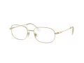 Swarovski Naočale SK 1005 4013