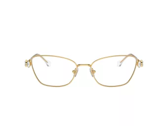 Swarovski Naočale SK 1006 4013