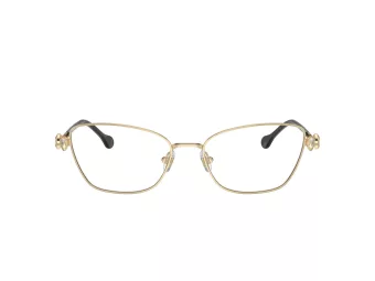 Swarovski Naočale SK 1006 4028