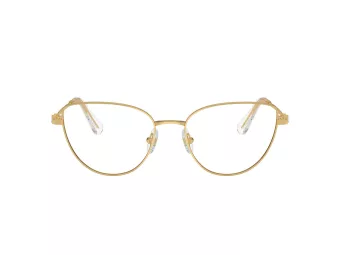 Swarovski Naočale SK 1007 4004
