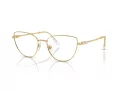 Swarovski Naočale SK 1007 4004