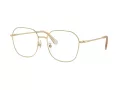 Swarovski Naočale 1009D 4013