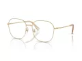 Swarovski Naočale 1009D 4013
