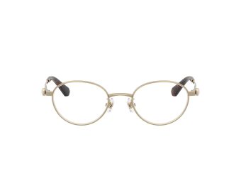 Swarovski Naočale SK 1028TD 4013