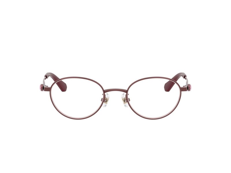 Swarovski Naočale SK 1028TD 4040