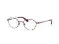 Swarovski Naočale SK 1028TD 4040