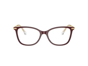 Swarovski Naočale SK 2010 1008