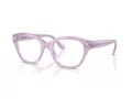 Swarovski Naočale 2038 1075