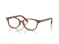 Swarovski Naočale 2040D 1067