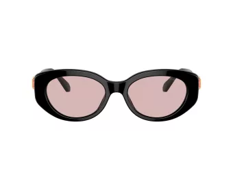 Swarovski Sunčane Naočale 6002 1001/5