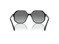 Swarovski Sunčane Naočale 6003 100111