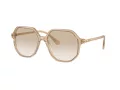 Swarovski Sunčane Naočale 6003 103411