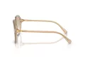 Swarovski Sunčane Naočale 6003 103411