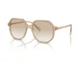 Swarovski Sunčane Naočale 6003 103411