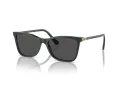 Swarovski Sunčane Naočale 6004 102687
