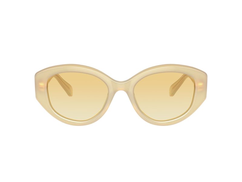 Swarovski Sunčane Naočale SK 6005 10232Q