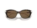 Swarovski Sunčane Naočale 6010 100273