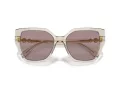 Swarovski Sunčane Naočale 6016 3003LA