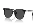 Swarovski Sunčane Naočale 6023D 100187