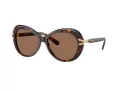 Swarovski Sunčane Naočale 6026 100273