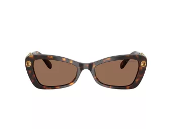 Swarovski Sunčane Naočale 6033 100273