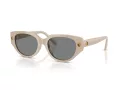 Swarovski Sunčane Naočale 6035D 106887