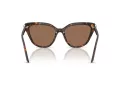 Swarovski Sunčane Naočale 6039 100273