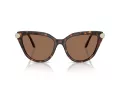 Swarovski Sunčane Naočale 6039 100273
