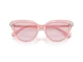 Swarovski Sunčane Naočale 6039 1041P5