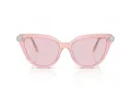 Swarovski Sunčane Naočale 6039 1041P5