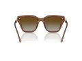 Swarovski Sunčane Naočale 6041 1067T5