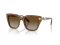 Swarovski Sunčane Naočale 6041 1067T5