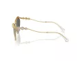 Swarovski Sunčane Naočale 7017 400487