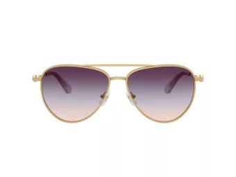 Swarovski Sunčane Naočale 7031 4036U7