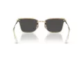 Swarovski Sunčane Naočale 7036D 401387