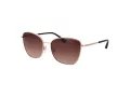 Ted Baker Sunčane Naočale TB 1522 400