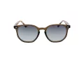 Ted Baker Sunčane Naočale TB 1655 949