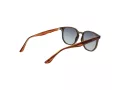 Ted Baker Sunčane Naočale TB 1655 949