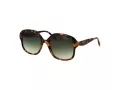 Ted Baker Sunčane Naočale TB 1685 267