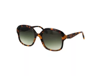 Ted Baker Sunčane Naočale TB 1685 267