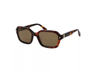Ted Baker Sunčane Naočale TB 1697 101