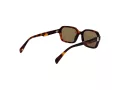 Ted Baker Sunčane Naočale TB 1697 101
