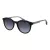 Ted Baker Sunčane Naočale TB 1721 188