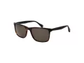 Ted Baker Sunčane Naočale TB 1728 104