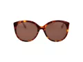Ted Baker Sunčane Naočale TB 1741 100