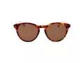 Ted Baker Sunčane Naočale TB 1746 100