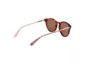 Ted Baker Sunčane Naočale TB 1746 100